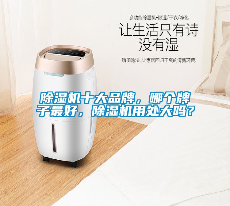 除濕機十大品牌，哪個牌子最好，除濕機用處大嗎？