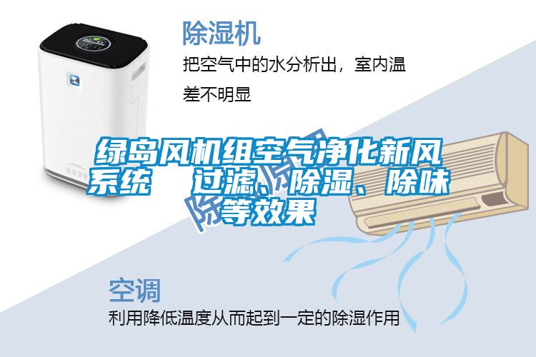 綠島風(fēng)機(jī)組空氣凈化新風(fēng)系統(tǒng)  過濾、除濕、除味等效果