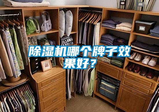 除濕機(jī)哪個牌子效果好？