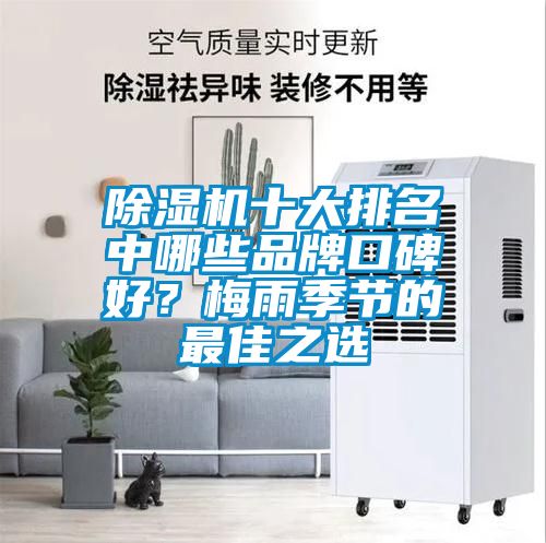 除濕機十大排名中哪些品牌口碑好？梅雨季節的最佳之選