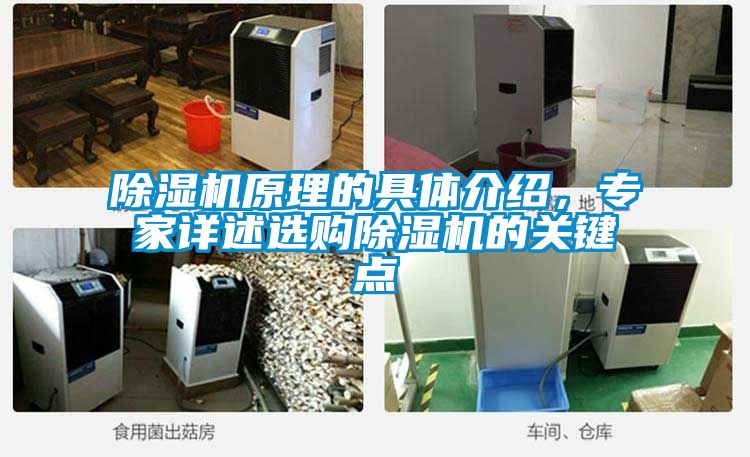 除濕機(jī)原理的具體介紹，專家詳述選購除濕機(jī)的關(guān)鍵點(diǎn)