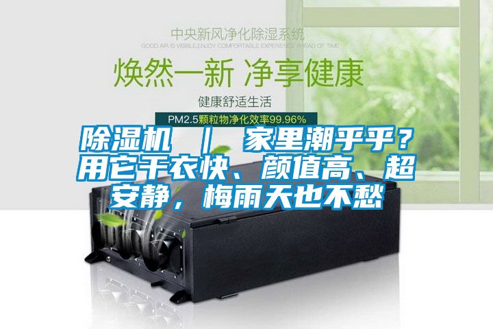 除濕機 ｜ 家里潮乎乎？用它干衣快、顏值高、超安靜，梅雨天也不愁