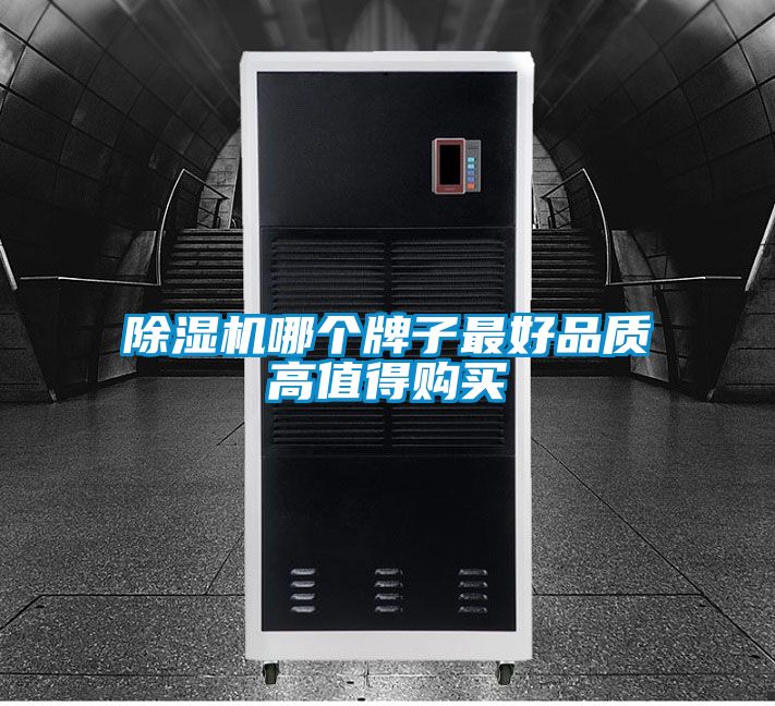 除濕機(jī)哪個牌子最好品質(zhì)高值得購買