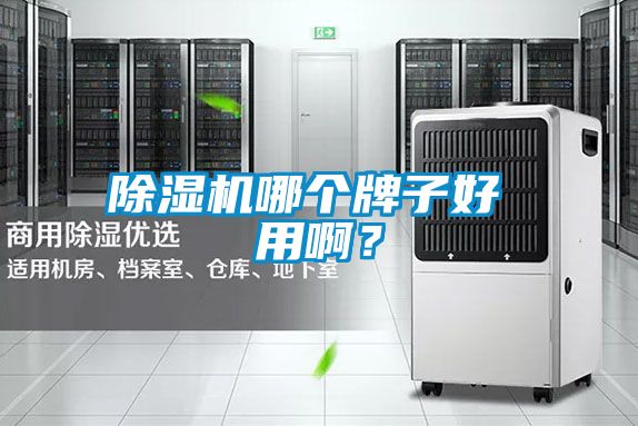 除濕機(jī)哪個牌子好 用??？