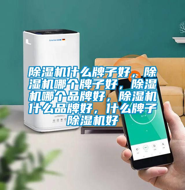 除濕機什么牌子好，除濕機哪個牌子好，除濕機哪個品牌好，除濕機什么品牌好，什么牌子除濕機好