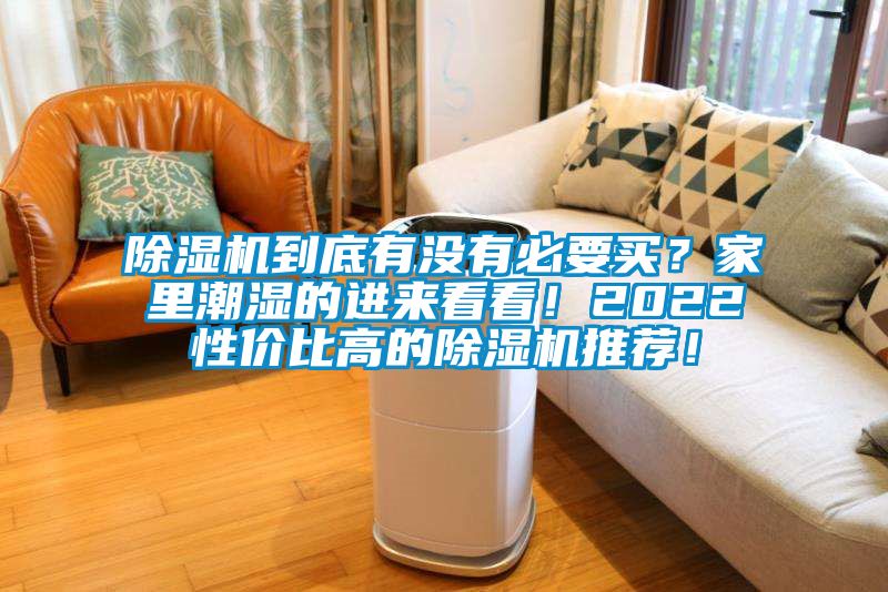 除濕機(jī)到底有沒(méi)有必要買(mǎi)？家里潮濕的進(jìn)來(lái)看看！2022性價(jià)比高的除濕機(jī)推薦！