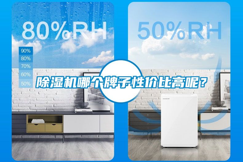 除濕機(jī)哪個牌子性價比高呢？
