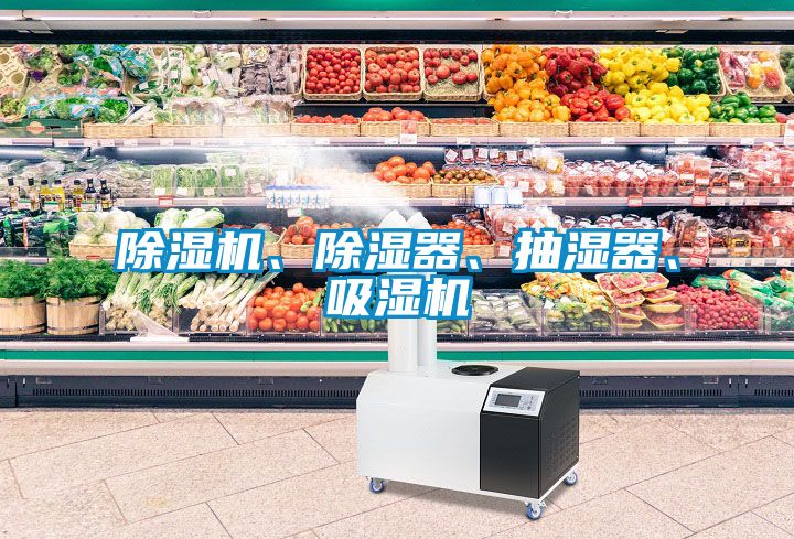 除濕機(jī)、除濕器、抽濕器、吸濕機(jī)