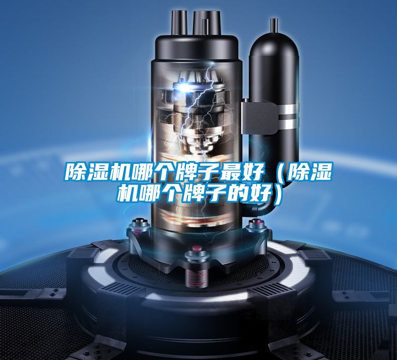 除濕機(jī)哪個牌子最好（除濕機(jī)哪個牌子的好）