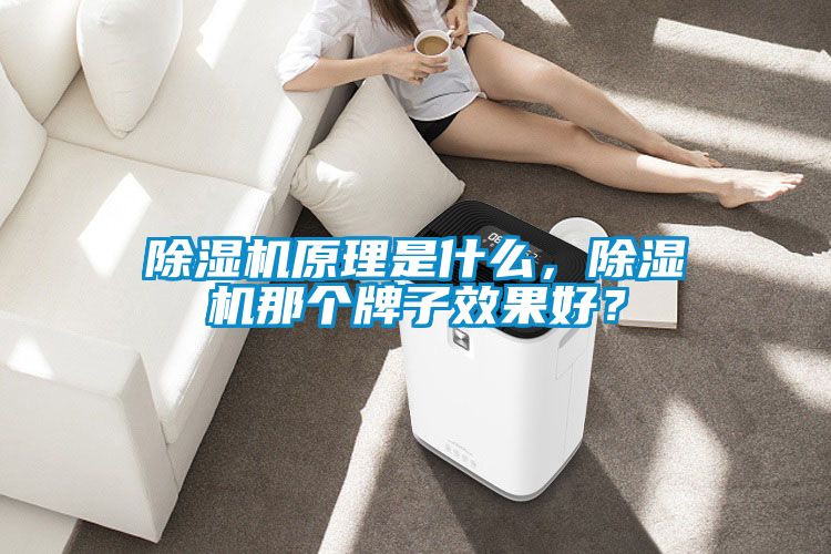 除濕機(jī)原理是什么，除濕機(jī)那個(gè)牌子效果好？