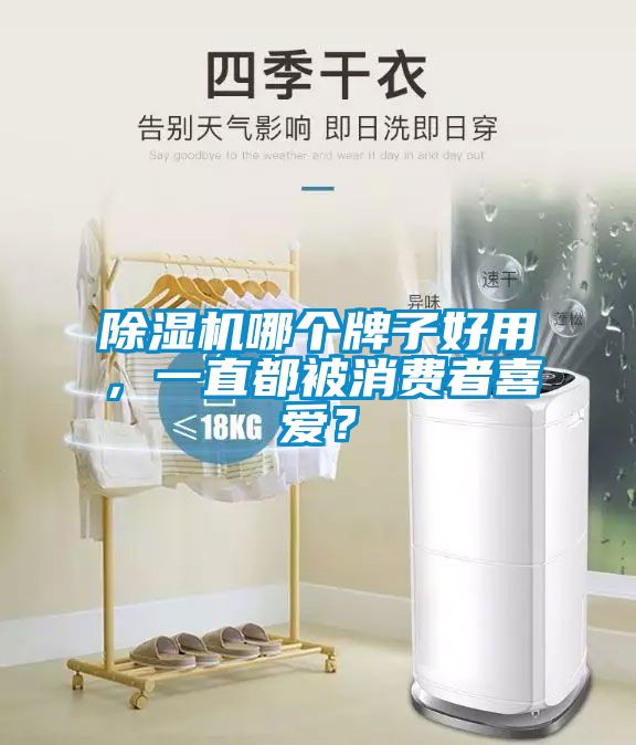 除濕機哪個牌子好用，一直都被消費者喜愛？