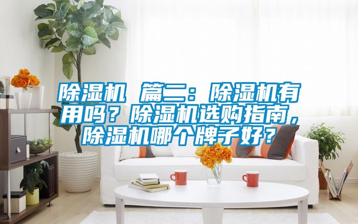 除濕機 篇二：除濕機有用嗎？除濕機選購指南，除濕機哪個牌子好？