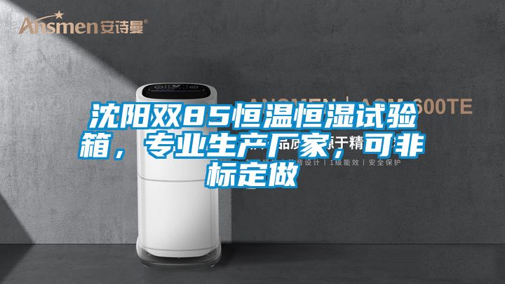 沈陽雙85恒溫恒濕試驗箱，專業生產廠家，可非標定做