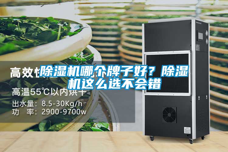 除濕機(jī)哪個牌子好？除濕機(jī)這么選不會錯