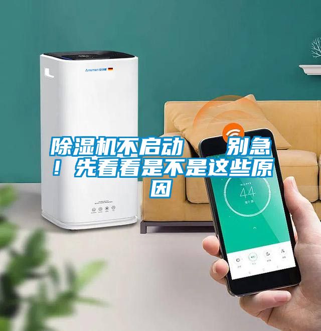 除濕機不啟動   別急！先看看是不是這些原因
