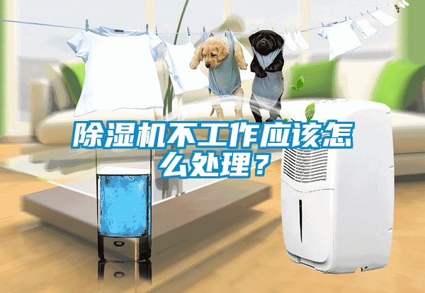 除濕機不工作應該怎么處理？