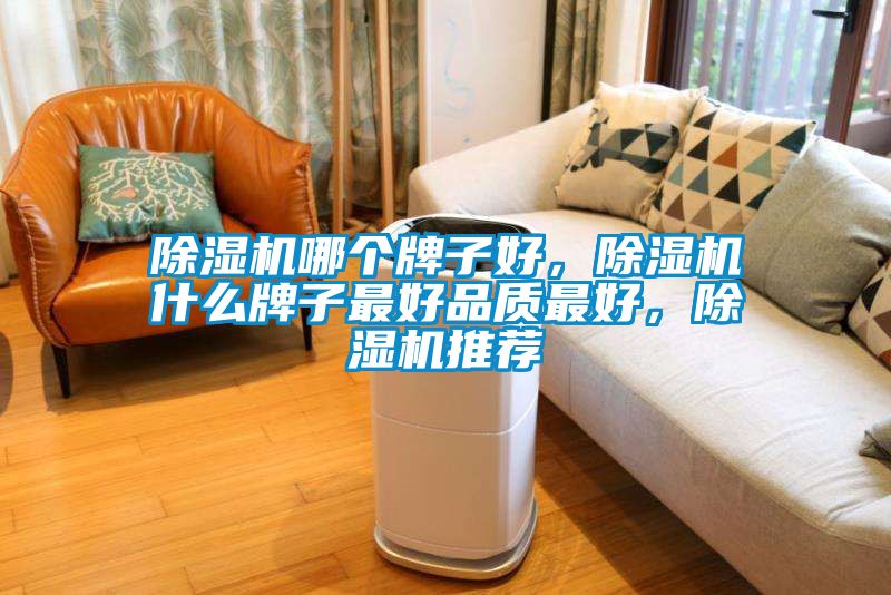 除濕機哪個牌子好，除濕機什么牌子最好品質最好，除濕機推薦
