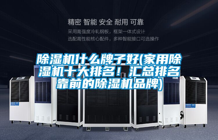 除濕機什么牌子好(家用除濕機十大排名！匯總排名靠前的除濕機品牌)