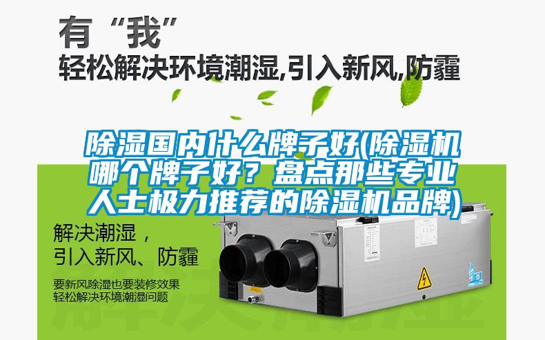 除濕國內什么牌子好(除濕機哪個牌子好？盤點那些專業人士極力推薦的除濕機品牌)