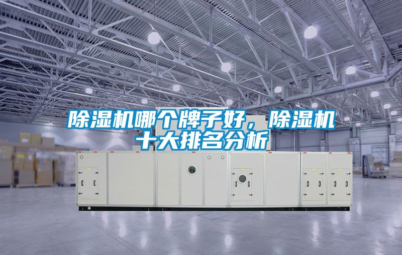 除濕機哪個牌子好，除濕機十大排名分析