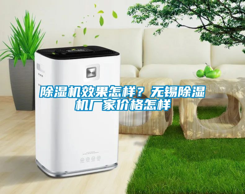 除濕機效果怎樣？無錫除濕機廠家價格怎樣