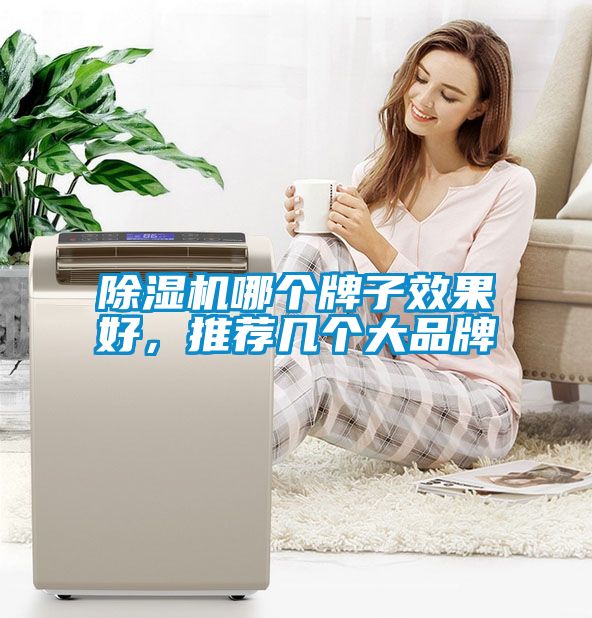 除濕機哪個牌子效果好，推薦幾個大品牌