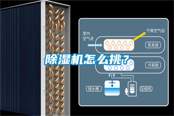 除濕機怎么挑？