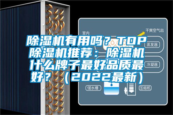 除濕機有用嗎？TOP除濕機推薦：除濕機什么牌子最好品質最好？（2022最新）