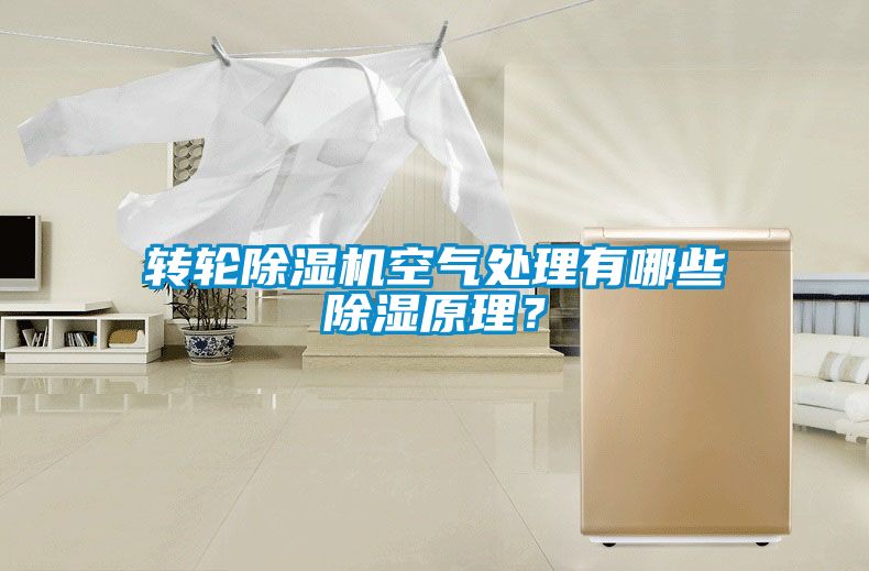 轉輪除濕機空氣處理有哪些除濕原理？