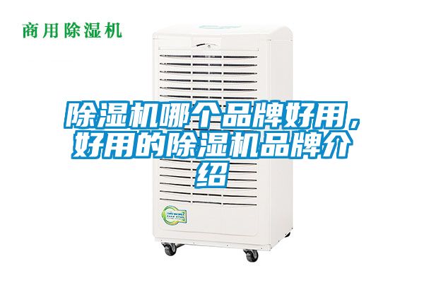 除濕機哪個品牌好用，好用的除濕機品牌介紹