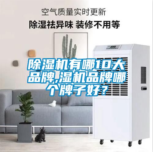 除濕機有哪10大品牌,濕機品牌哪個牌子好？