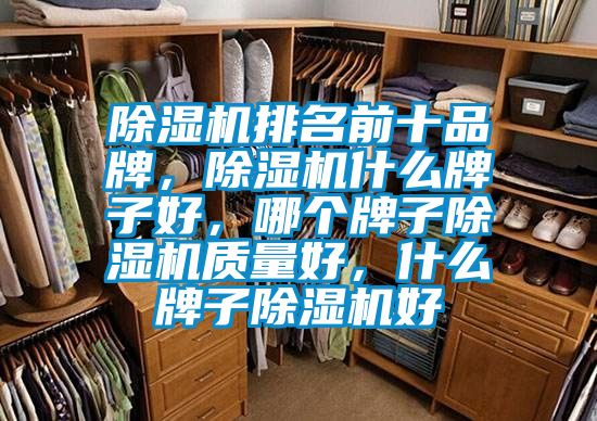 除濕機排名前十品牌，除濕機什么牌子好，哪個牌子除濕機質量好，什么牌子除濕機好