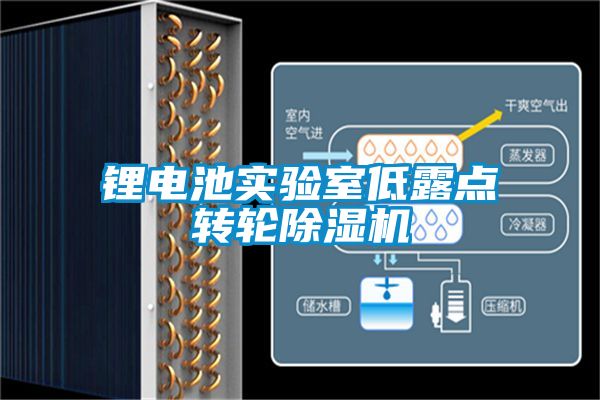 鋰電池實驗室低露點轉輪除濕機