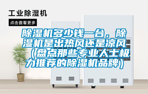 除濕機(jī)多少錢一臺(tái)，除濕機(jī)是出熱風(fēng)還是涼風(fēng)（盤點(diǎn)那些專業(yè)人士極力推薦的除濕機(jī)品牌）