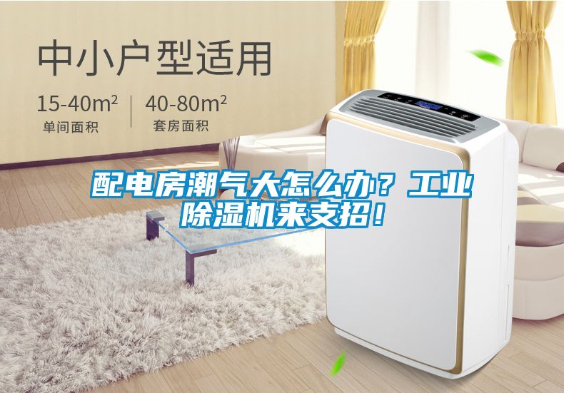 配電房潮氣大怎么辦？工業除濕機來支招！
