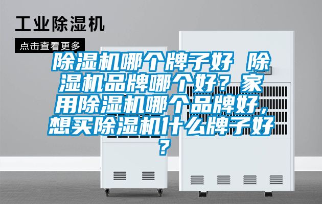 除濕機哪個牌子好 除濕機品牌哪個好？家用除濕機哪個品牌好，想買除濕機什么牌子好？