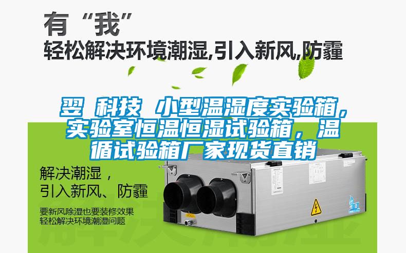 翌昇科技 小型溫濕度實驗箱，實驗室恒溫恒濕試驗箱，溫循試驗箱廠家現(xiàn)貨直銷