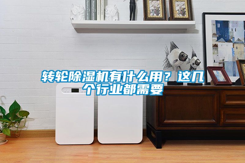 轉輪除濕機有什么用？這幾個行業都需要
