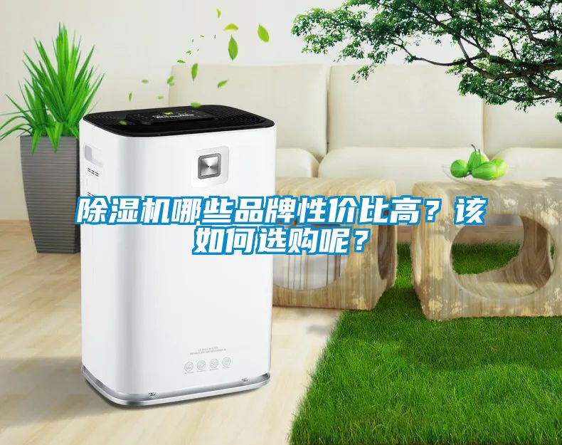 除濕機(jī)哪些品牌性?xún)r(jià)比高？該如何選購(gòu)呢？