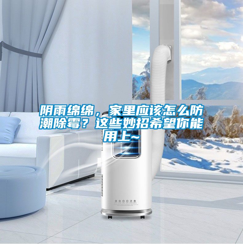 陰雨綿綿，家里應該怎么防潮除霉？這些妙招希望你能用上~