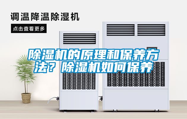 除濕機的原理和保養方法？除濕機如何保養