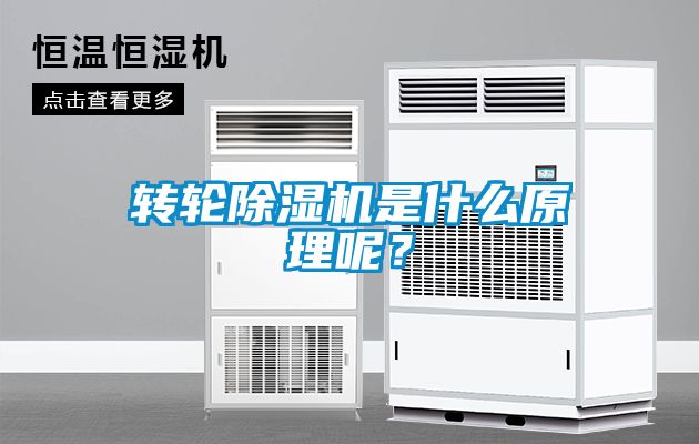 轉輪除濕機是什么原理呢？