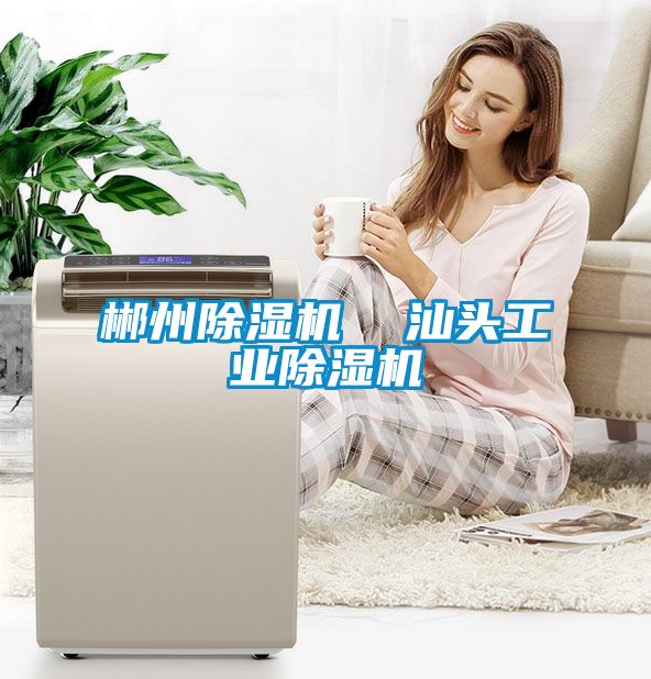 郴州除濕機  汕頭工業除濕機