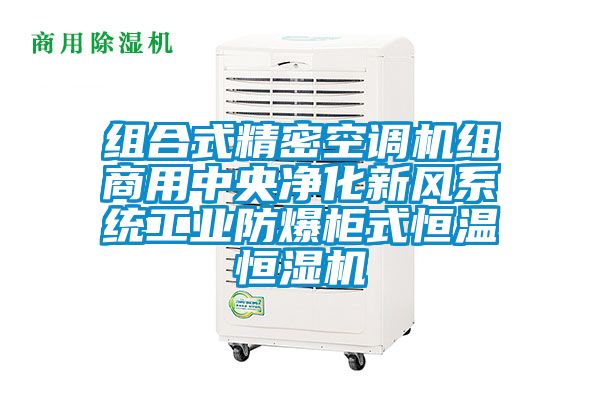 組合式精密空調機組商用中央凈化新風系統工業防爆柜式恒溫恒濕機