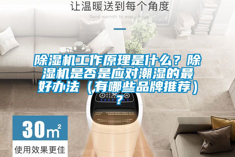 除濕機(jī)工作原理是什么？除濕機(jī)是否是應(yīng)對(duì)潮濕的最好辦法（有哪些品牌推薦）？