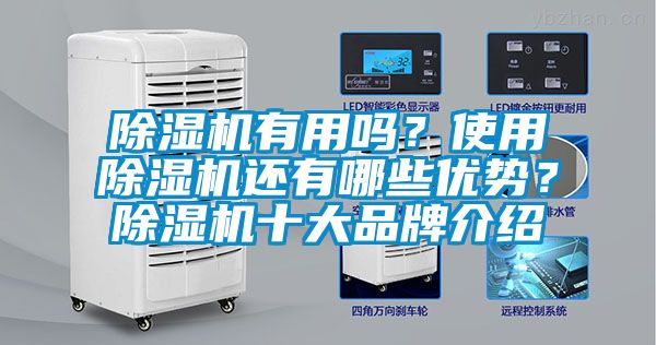 除濕機有用嗎？使用除濕機還有哪些優勢？除濕機十大品牌介紹