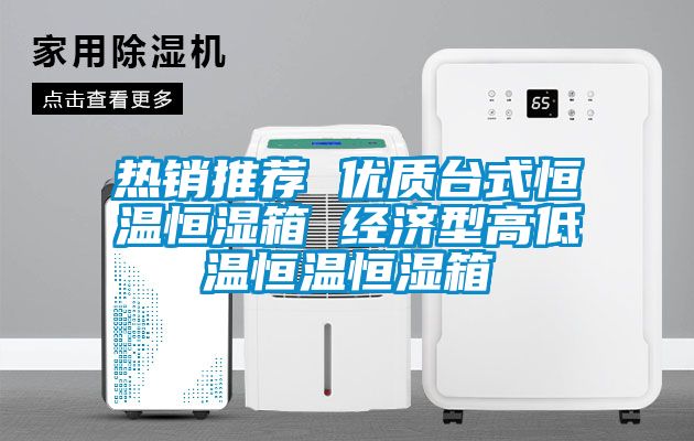 熱銷推薦 優(yōu)質臺式恒溫恒濕箱 經濟型高低溫恒溫恒濕箱