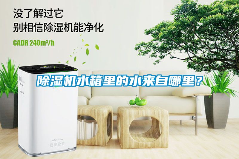 除濕機水箱里的水來自哪里？