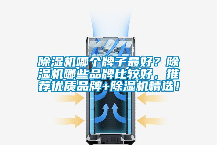 除濕機(jī)哪個(gè)牌子最好？除濕機(jī)哪些品牌比較好，推薦優(yōu)質(zhì)品牌+除濕機(jī)精選！
