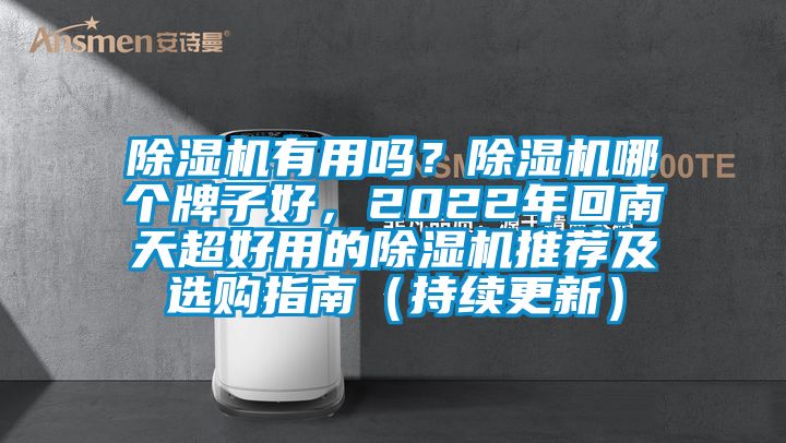 除濕機有用嗎？除濕機哪個牌子好，2022年回南天超好用的除濕機推薦及選購指南（持續更新）